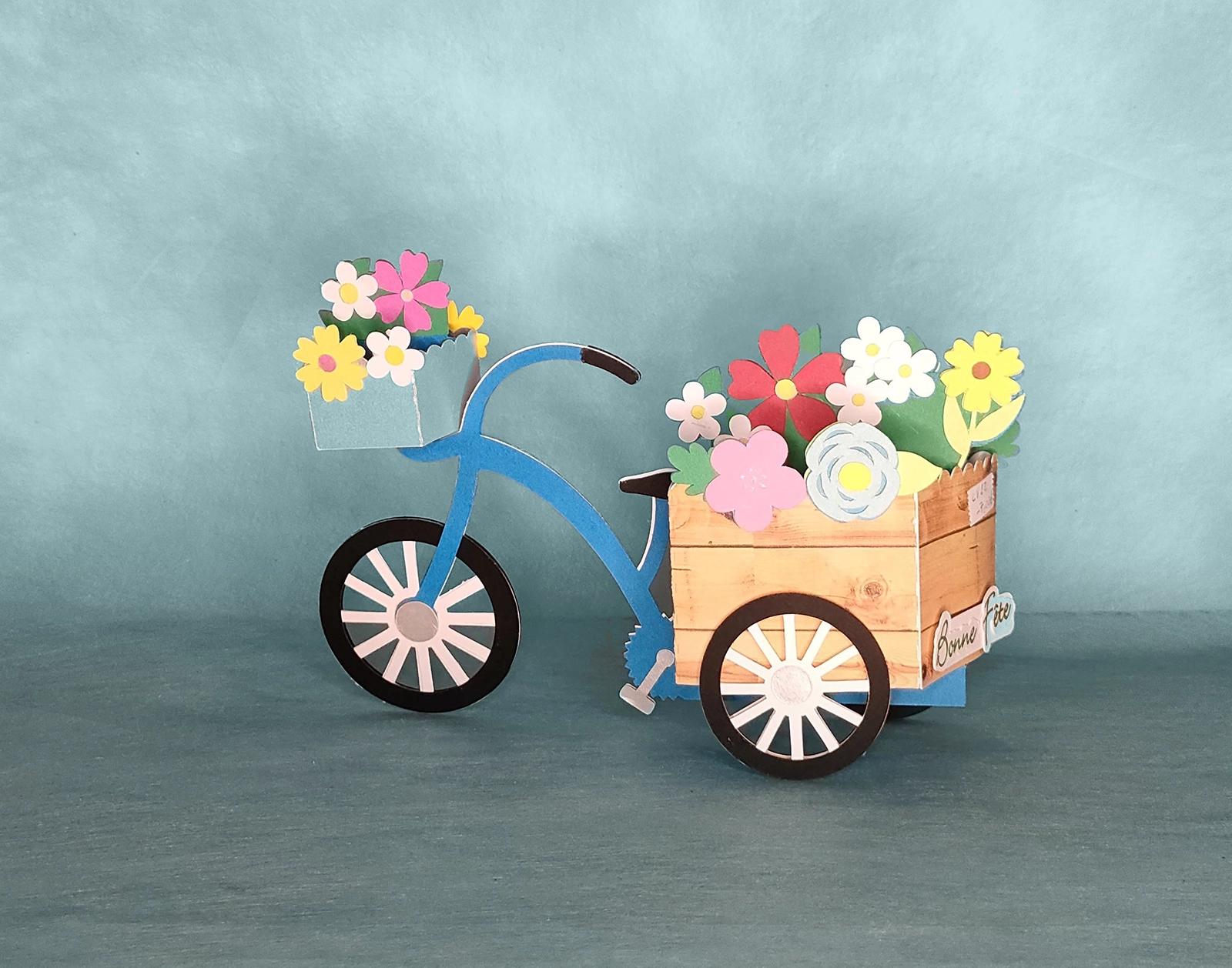 LAC-CARTE-SIMPLE-Tricycle-320531
